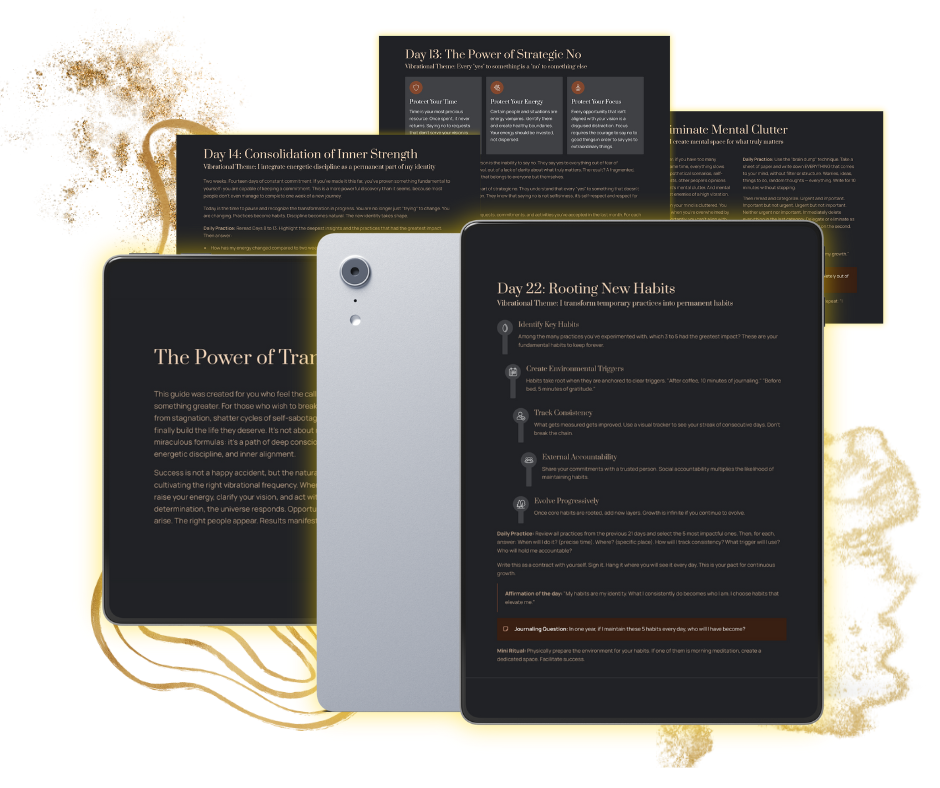 Programma di successo